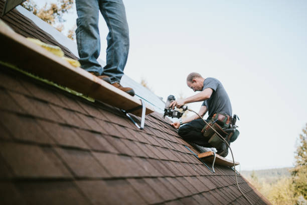 Best Flat Roof Repair Services  in Lombard, IL